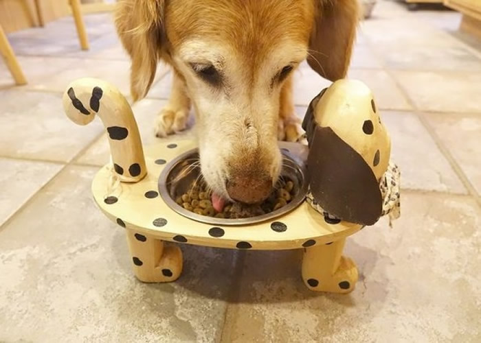 宠物主人多以高质量食品喂饲宠物。