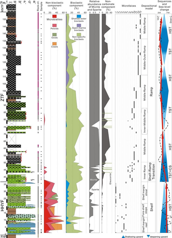 示意响水洞剖面岩性序列、岩石组分变化、微相分布情况以及海平面变化曲线