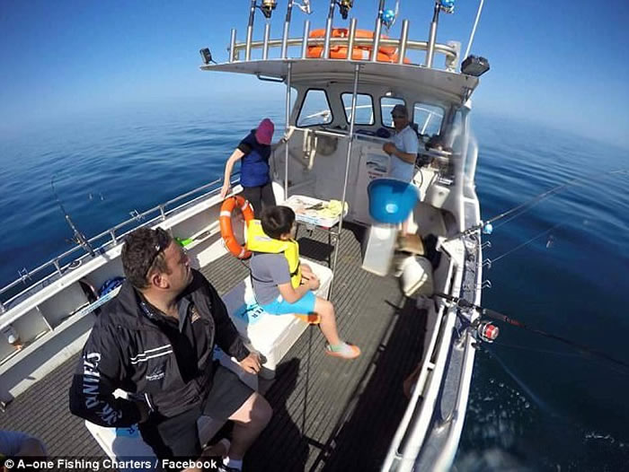 ������ʿ����ͷ��ͻײ�洬 �ο������ݻ���