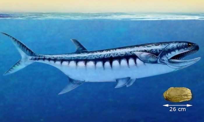 ���ұ���ʷǰ��������ӡ�