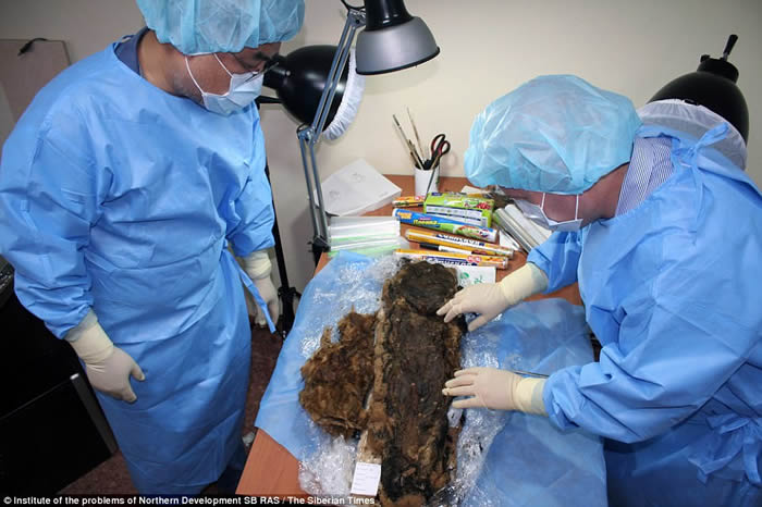 俄罗斯西伯利亚冻土层发现30多具900年前木乃伊 女干尸头发睫毛仍完好