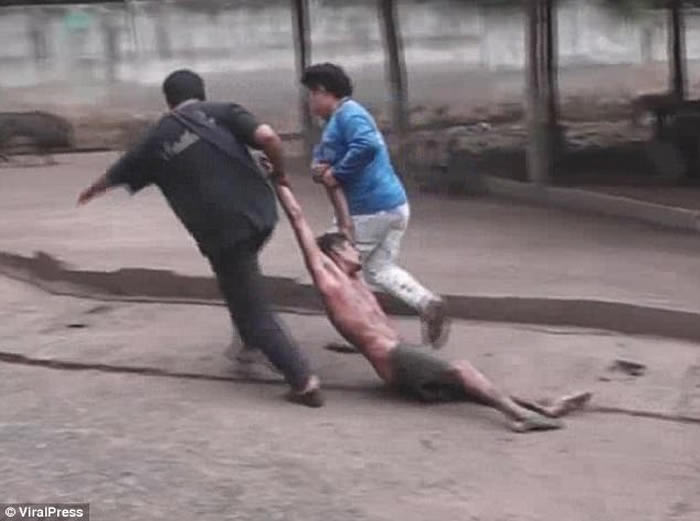 ̩���̲��븮��ֳ������������� ������������Ȧ������15����