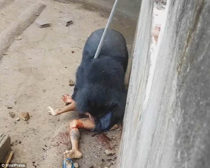 ̩���̲��븮��ֳ������������� ������������Ȧ������15����