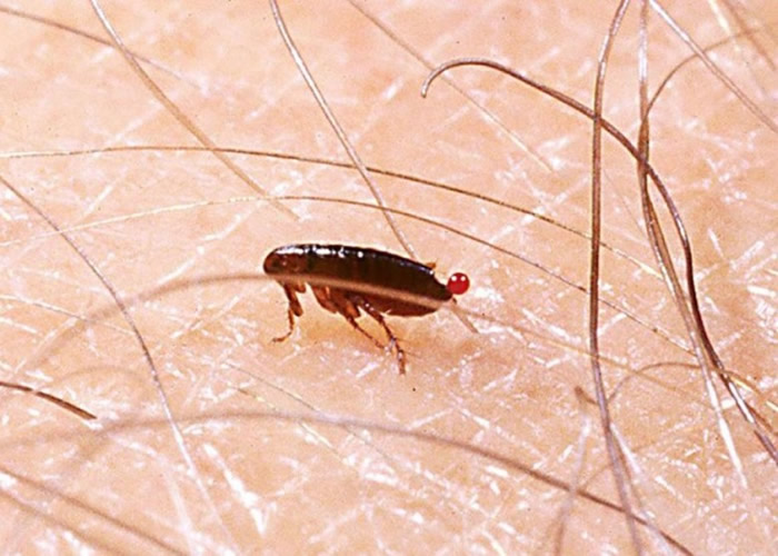 ��������ÿ�տɲ���50�������ѡ�������ͼƬ��