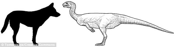 ��������˹̹ʽ���������Ĳ������Chilesaurus��������������޽��������֧�Ĵ��ӻ�