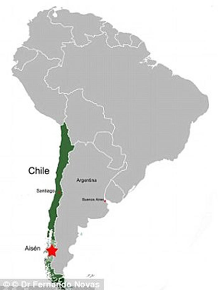 ��������˹̹ʽ���������Ĳ������Chilesaurus��������������޽��������֧�Ĵ��ӻ�