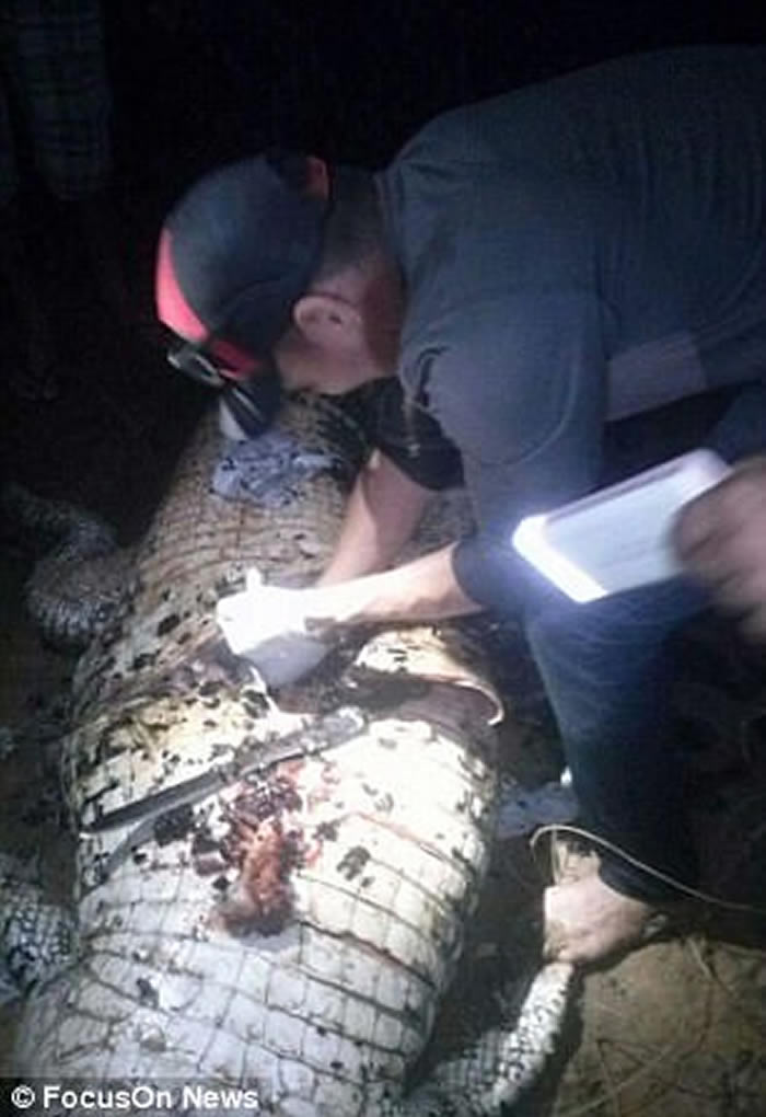 巴西农夫河边工作时遭鳄鱼拖到水里吞食 捕获解剖后在肚内发现骨骸