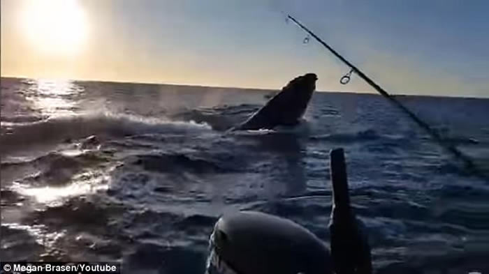 ������������������������˹�ݸ����˷��յ���ʱ���ֵ����ľ�Ȼ����ͷ��