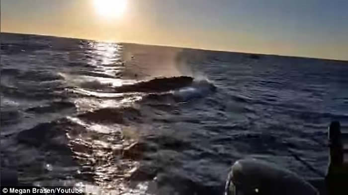 ������������������������˹�ݸ����˷��յ���ʱ���ֵ����ľ�Ȼ����ͷ��