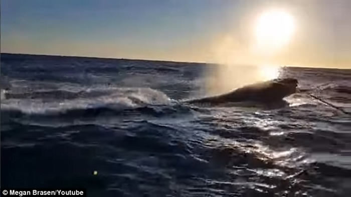 ������������������������˹�ݸ����˷��յ���ʱ���ֵ����ľ�Ȼ����ͷ��