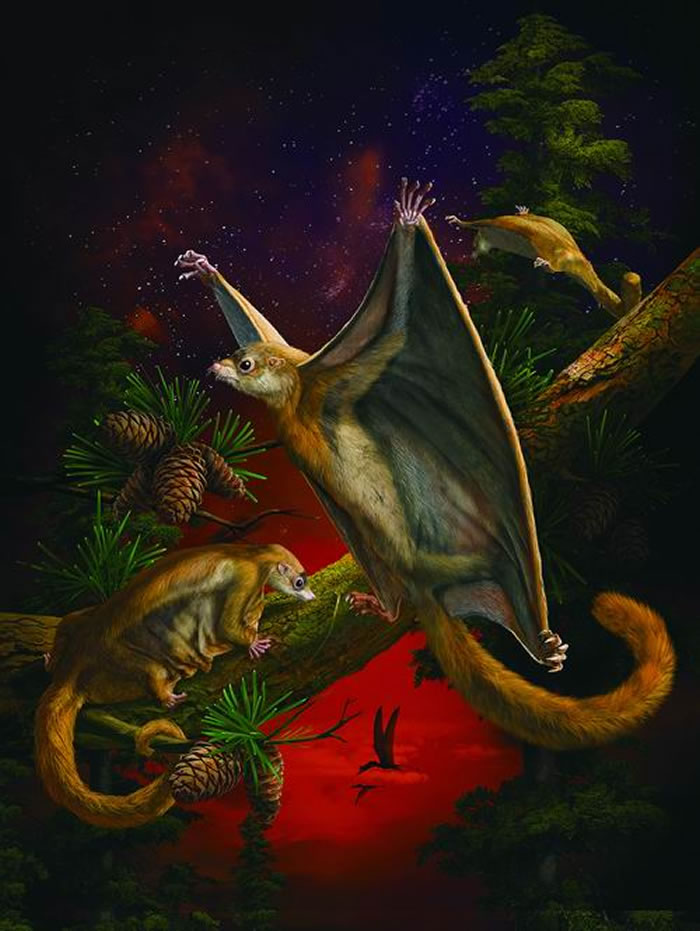 �Ʋ�������޸�ԭͼ&nbsp; �Դ���