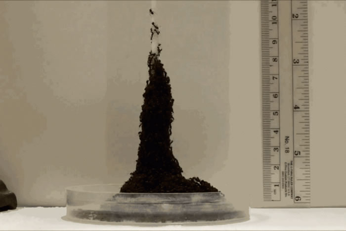 ���ʼ�ѧ�Ὺ�ſ�ѧ���ڿ����������ܶѵ������ƶ�����һ��Ľṹ