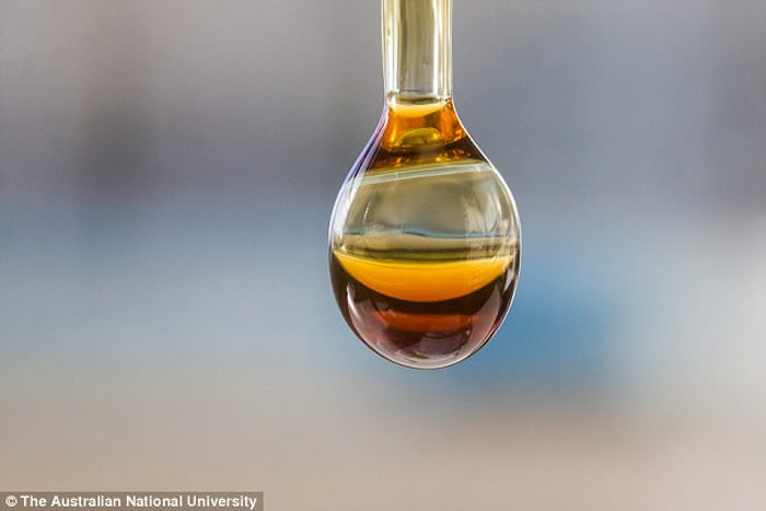 研究人员把远古沉积岩击碎成粉末,从中抽取出古生物的分子,估计藻类是如何诞生。