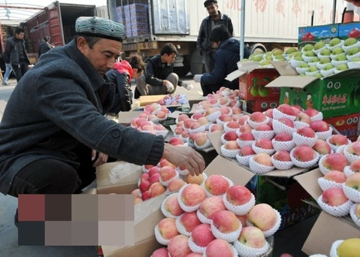 研究发现新疆塞威士苹果的基因组“最原始”。(资料图片)