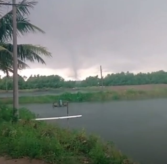 目击者称,湖边的红树林被龙卷风连根拔起。