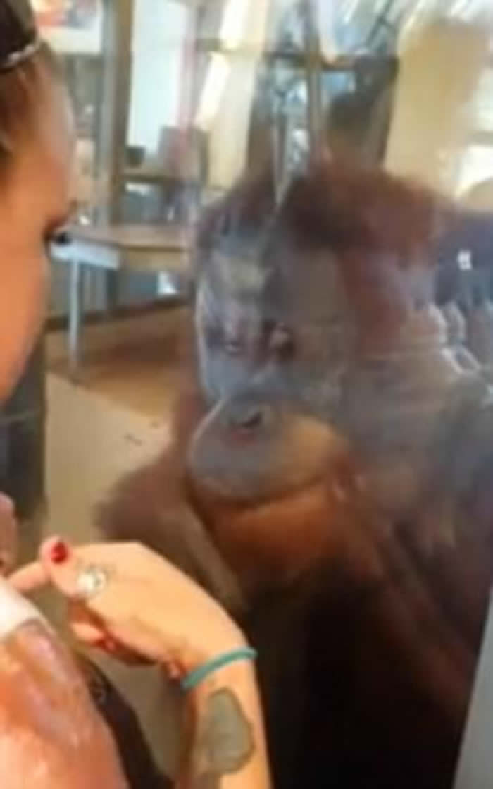 �������˸��˵�ӡ�ڰ��ɲ���˹����԰�ι�ʱ�񡰺�ë������ϧ��