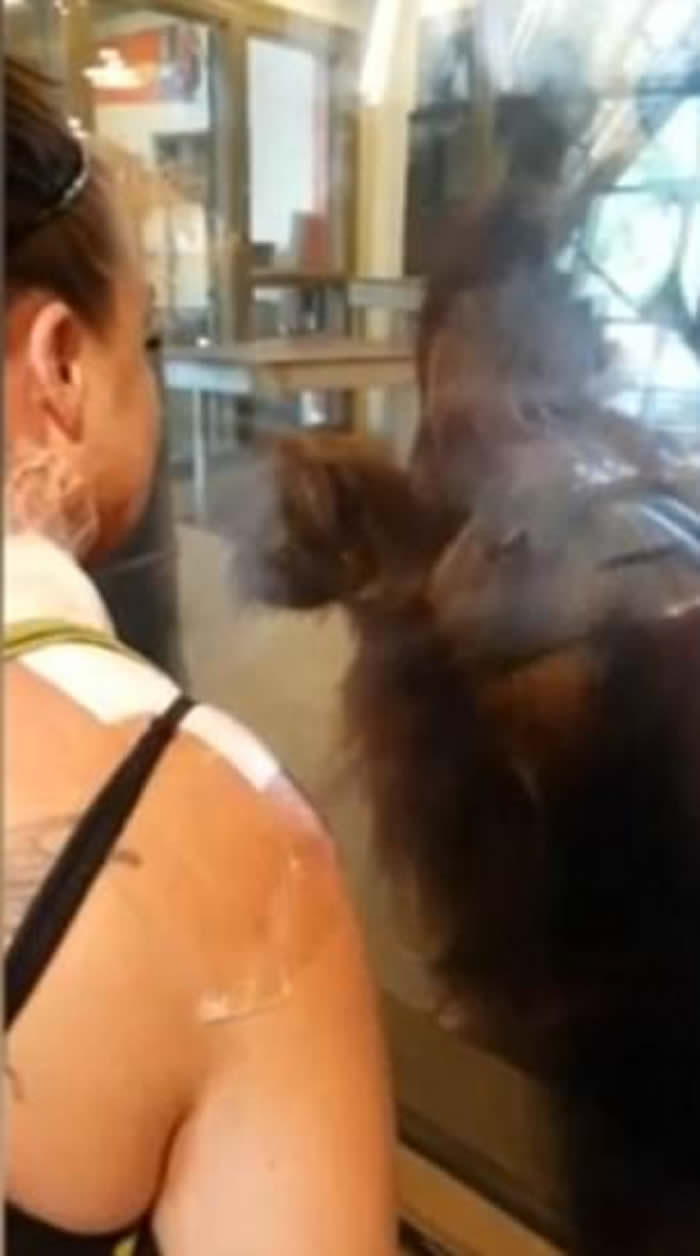 �������˸��˵�ӡ�ڰ��ɲ���˹����԰�ι�ʱ�񡰺�ë������ϧ��