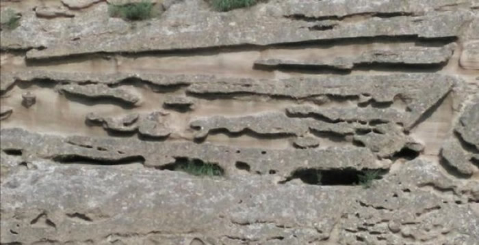 ʩԱɰֻĥȥһͼΪһԭò