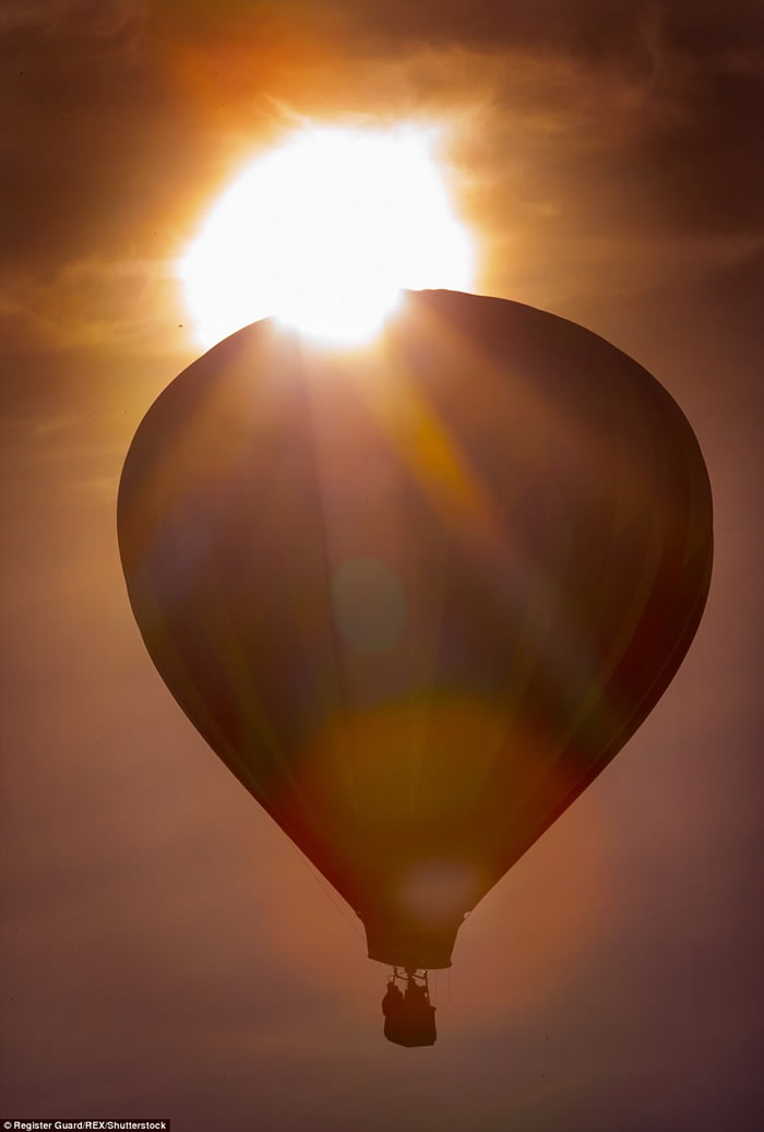 ��������һ��������ȫʳ8��21�ջ������� �ڸ���������ʳ��