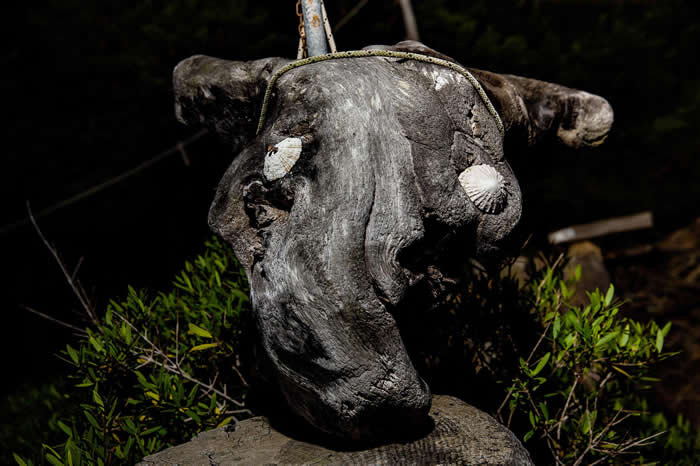 ĪռƯĶľٽЩƷοͣǮ޻صȵصķӪ֯ȻסһСƬϣʵҲں硣