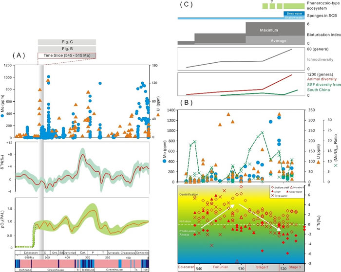 环境背景(冰期、大气氧含量、海洋有氧化)与生物多样性的关系