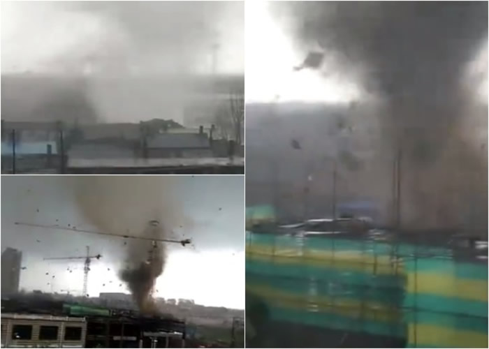 ۽سϿճһҰɫǵ磬Լ10ӡ