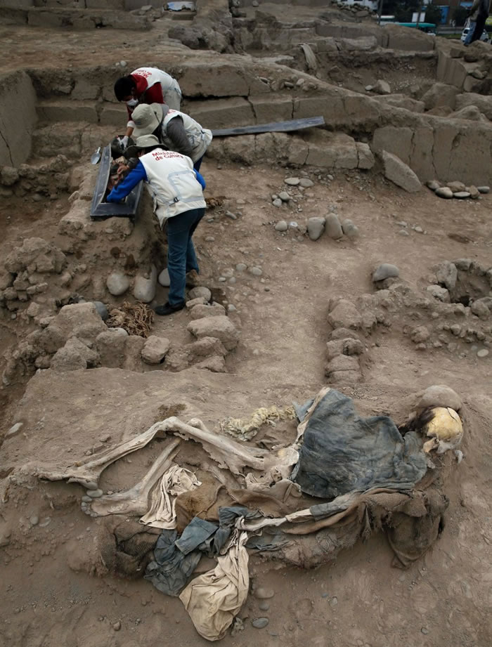 ѧ����Ϊ��Щ�й������걻�������С�����³��