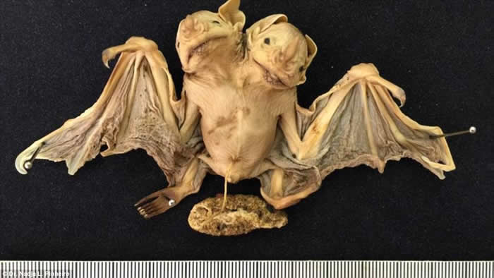 ����â�����Ϸ�����������Ӥ ��������������������ǳ�����