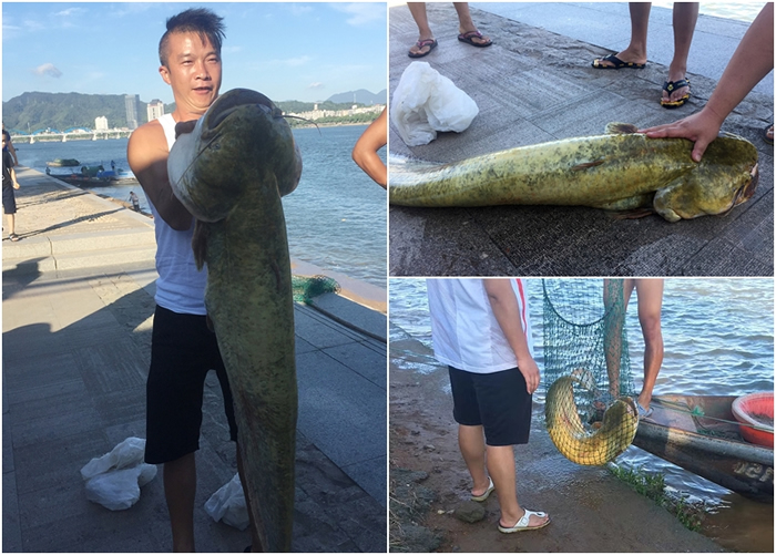 �㽭ͩ®�ظ����������Դ��д����賿��ͩ��ɽ�κ�������ش�63.5���������