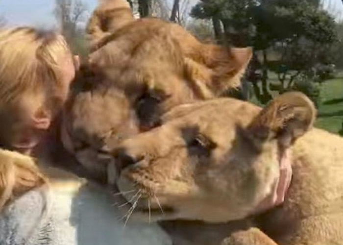 ˹工˶԰ͷʨǰŮ˼ӵ