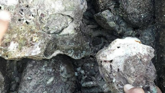 ʯͷ�����û��ĺۼ���