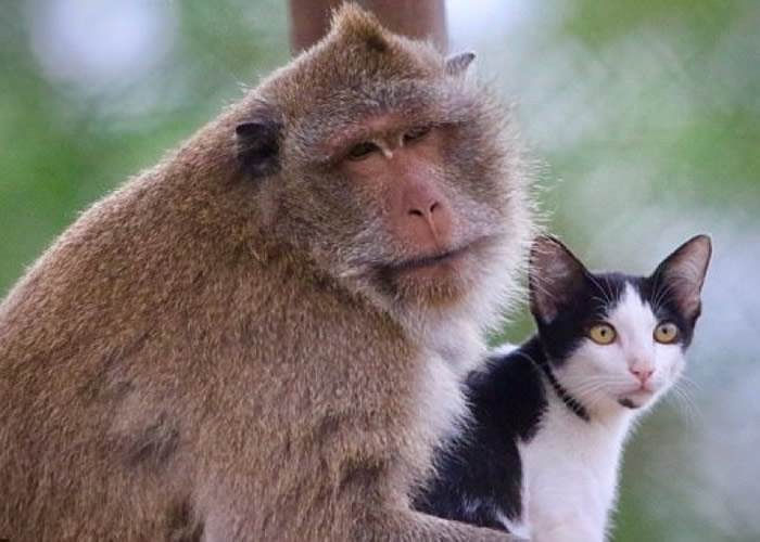 ̩�� ��β⨺� è