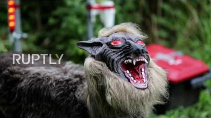 为制止野猪破坏农田 日本机器人公司太田精器与北海道大学推出“超级怪兽狼”