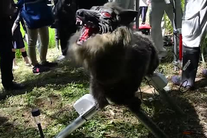 为制止野猪破坏农田 日本机器人公司太田精器与北海道大学推出“超级怪兽狼”