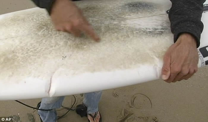 澳洲男子冲浪遭3米大白鲨袭击 冲浪板及潜水衣被鲨鱼狠咬