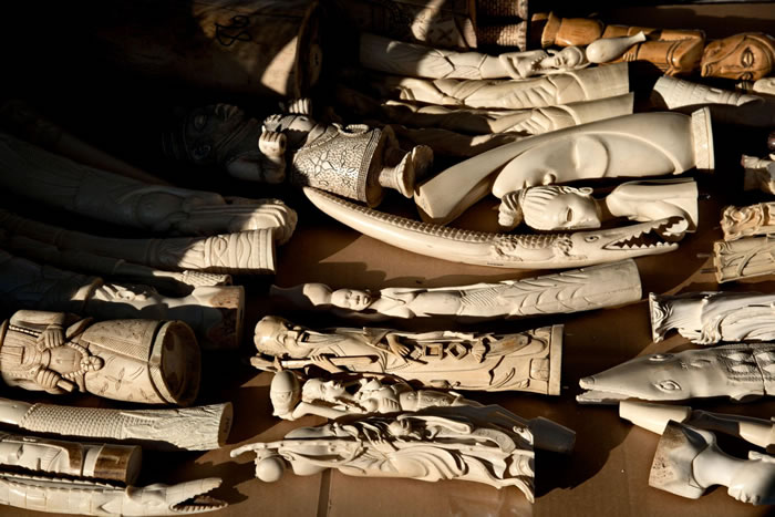 2015꣬Щ۵ƷŦԼеʱ㳡ѱȫѹ飬ϣڶֹԴ PHOTOGRAPH BY KATE BROOKS, REDUX