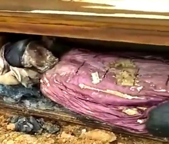 湖南省安化县工地挖出明清古墓 保存相当完好男古尸