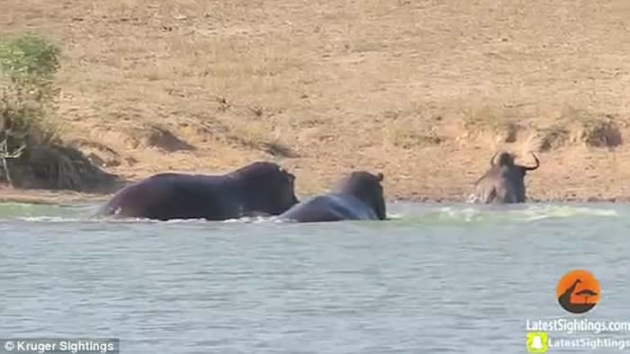 �Ϸǿ�³����ҹ�԰ţ�类����ҧ������ˮ ǧ��һ�������ϵ�������