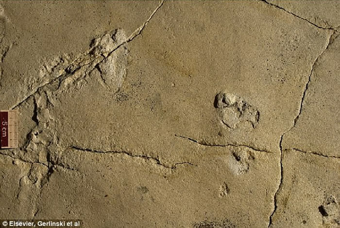 ϣ�������ص��Ϸ�������570���������ӡ�����൱ʱȴ���ڷ���