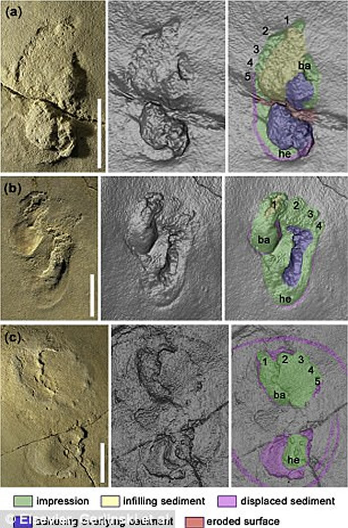 ϣ�������ص��Ϸ�������570���������ӡ�����൱ʱȴ���ڷ���