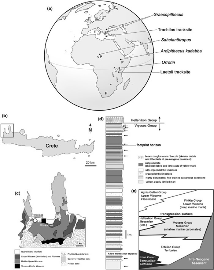 希腊克里特岛发现570万年前的原始人类脚印化石 表明人类祖先很早就已“走出非洲”?