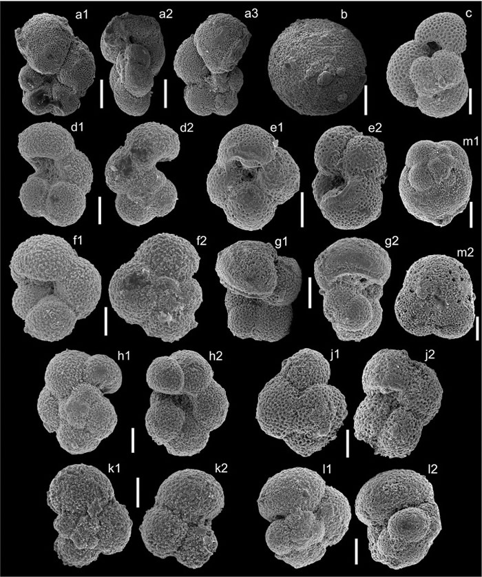 希腊克里特岛发现570万年前的原始人类脚印化石 表明人类祖先很早就已“走出非洲”?