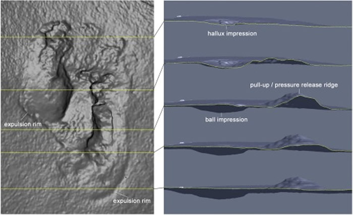 希腊克里特岛发现570万年前的原始人类脚印化石 表明人类祖先很早就已“走出非洲”?