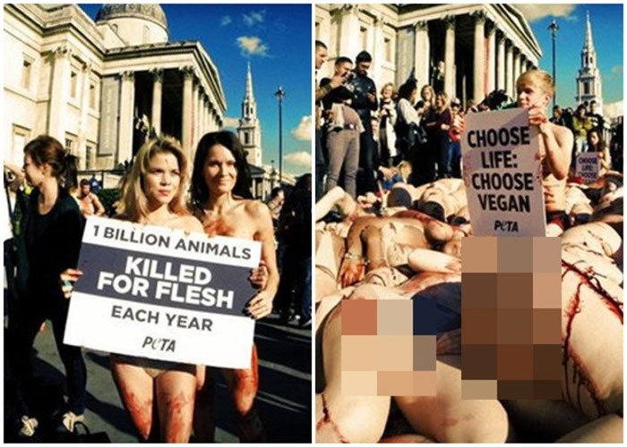 ʾ���ߺ���������ʳ�ء�