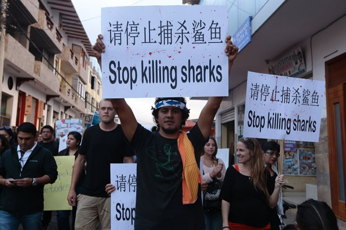 ʾڸ߾١ֹͣɱ㡱Ⱥ