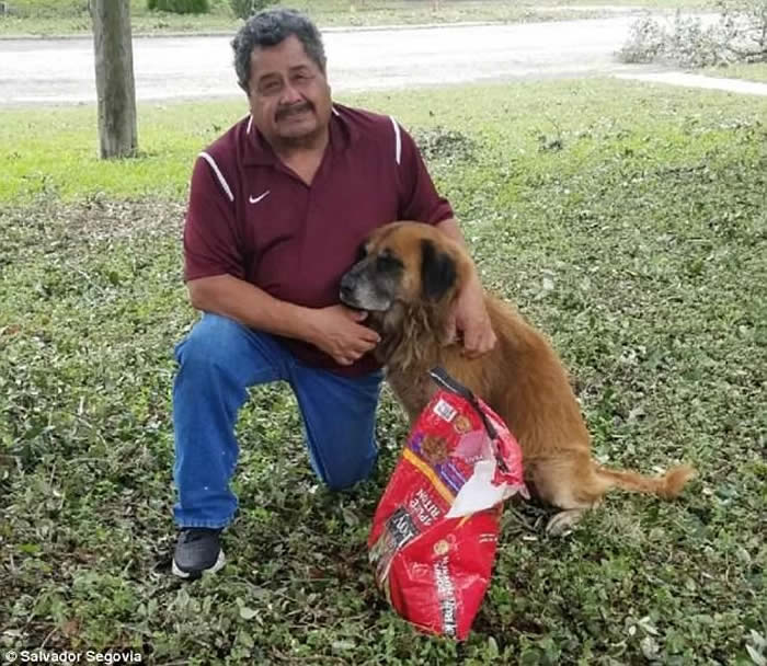 쫷��ά��½�������ݣ�����˾������ӥ ��������������