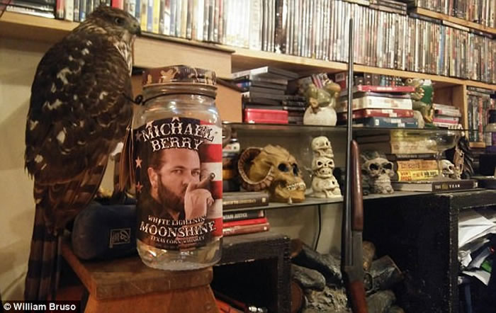 쫷��ά��½�������ݣ�����˾������ӥ ��������������