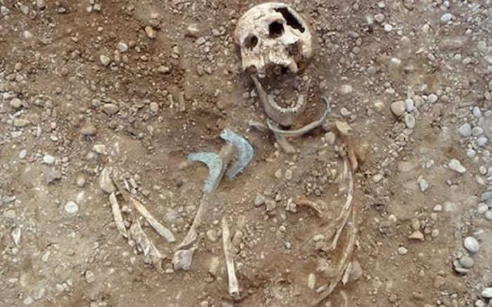 德国考古学家:欧洲青铜时代“女主外、男主内”现象维持超过800年