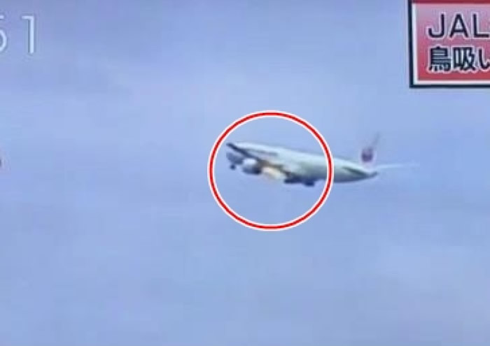 影片中可见,客机左翼引擎起火。