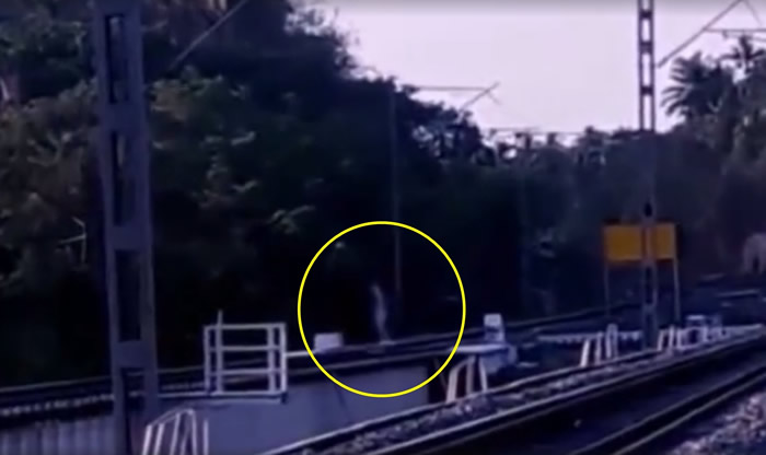 白色诡影飘荡月台,走到柱后瞬间消失。